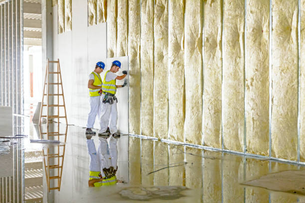 Best Residential Insulation in Seagraves, TX